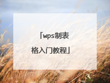 wps制表格入门教程
