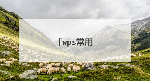 wps常用快捷键大全