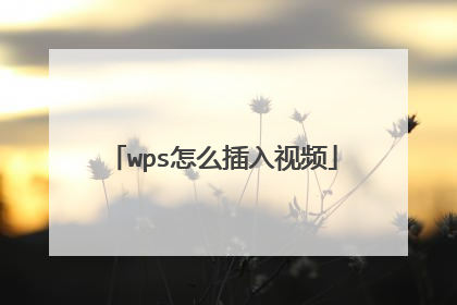 wps怎么插入视频