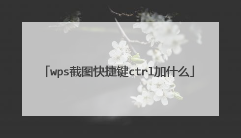 wps截图快捷键ctrl加什么