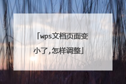 wps文档页面变小了,怎样调整