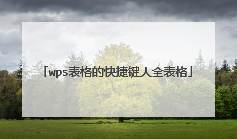 wps表格的快捷键大全表格