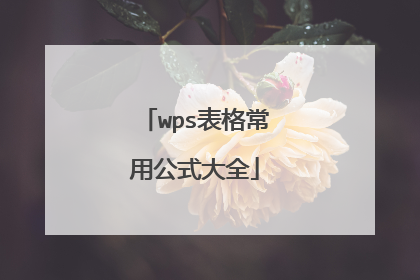 wps表格常用公式大全