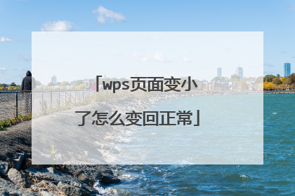 wps页面变小了怎么变回正常