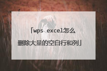 wps excel怎么删除大量的空白行和列