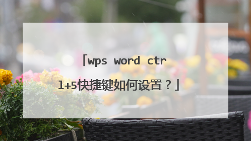 wps word ctrl+5快捷键如何设置？