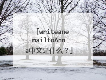 writeanemailtoAnna中文是什么？