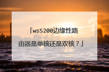 ws5200边缘性路由器是单核还是双核?