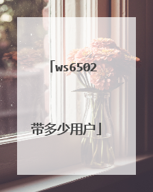 ws6502带多少用户
