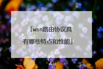 wsn路由协议具有哪些特点和性能
