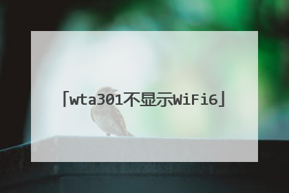 wta301不显示WiFi6