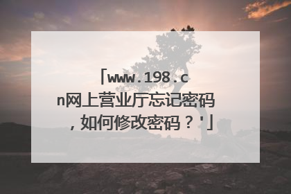 www.198.cn网上营业厅忘记密码,如何修改密码?'