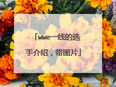 wwe一线的选手介绍,带图片