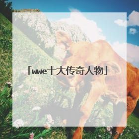 wwe十大传奇人物