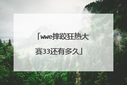 wwe摔跤狂热大赛33还有多久
