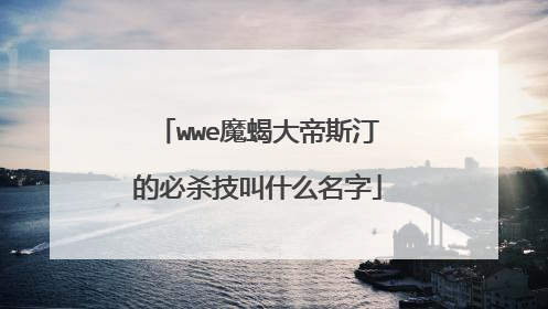 wwe魔蝎大帝斯汀的必杀技叫什么名字