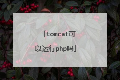 tomcat可以运行php吗