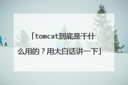 tomcat到底是干什么用的？用大白话讲一下
