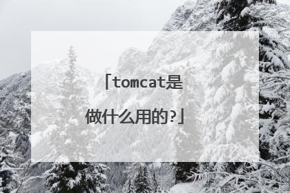 tomcat是做什么用的?