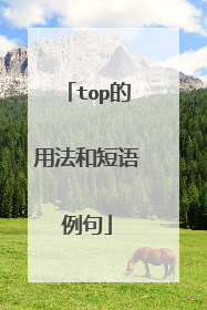 top的用法和短语例句