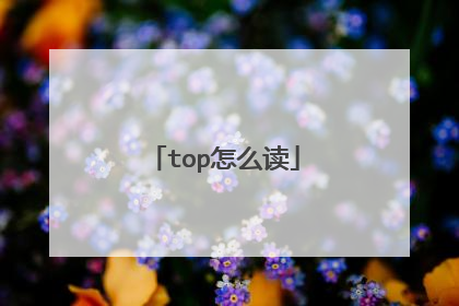 top怎么读