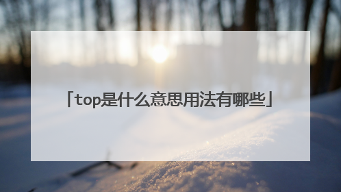 top是什么意思用法有哪些
