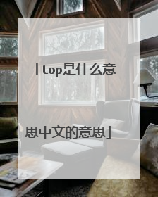 top是什么意思中文的意思