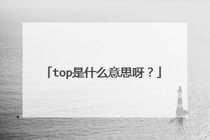 top是什么意思呀？