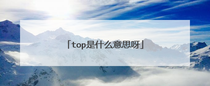 top是什么意思呀