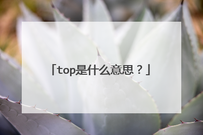 top是什么意思？