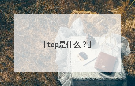 top是什么？