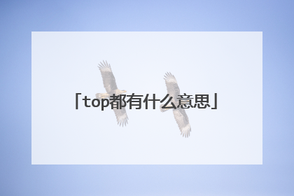 top都有什么意思