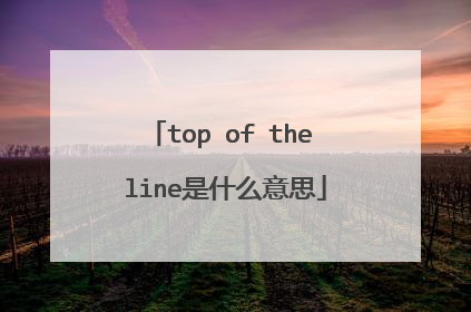top of the line是什么意思