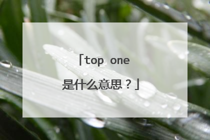 top one 是什么意思?
