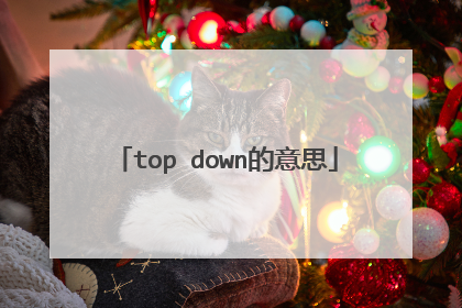 top down的意思