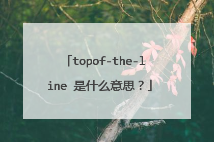 topof-the-line 是什么意思?