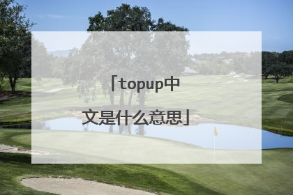 topup中文是什么意思