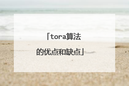 tora算法的优点和缺点