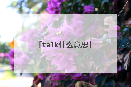 talk什么意思