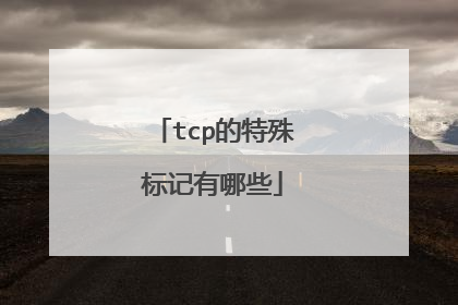 tcp的特殊标记有哪些