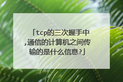 tcp的三次握手中,通信的计算机之间传输的是什么信息?