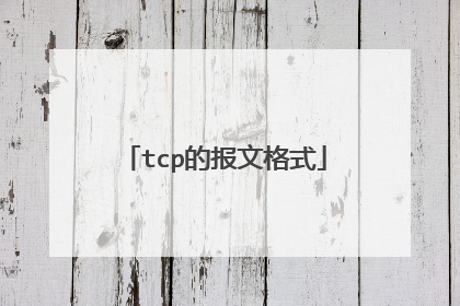 tcp的报文格式
