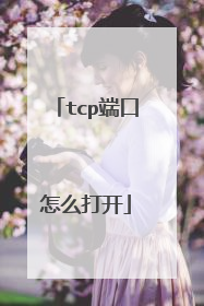 tcp端口怎么打开