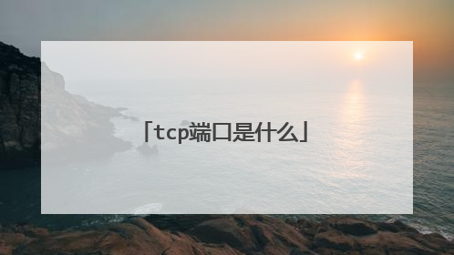 tcp端口是什么