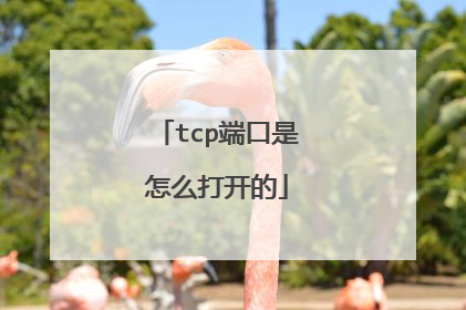 tcp端口是怎么打开的