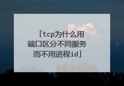 tcp为什么用端口区分不同服务而不用进程id