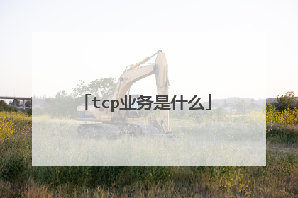 tcp业务是什么