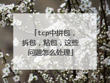 tcp中拼包,拆包,粘包,这些问题怎么处理