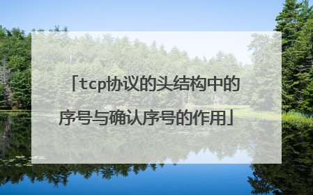 tcp协议的头结构中的序号与确认序号的作用