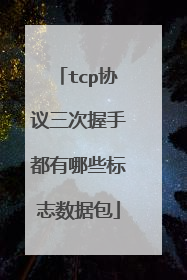 tcp协议三次握手都有哪些标志数据包